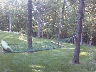 hammock